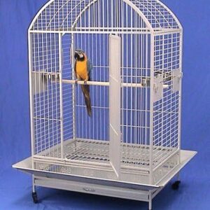 parrot cage for sale