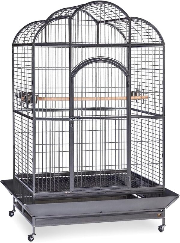 parrot cage for sale