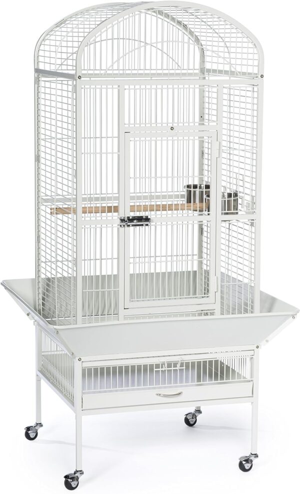 parrot cage for sale